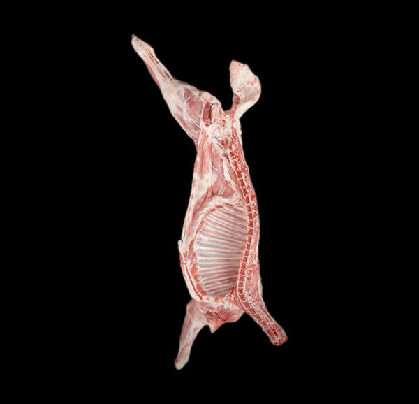 نصف خروف شفالي7_8